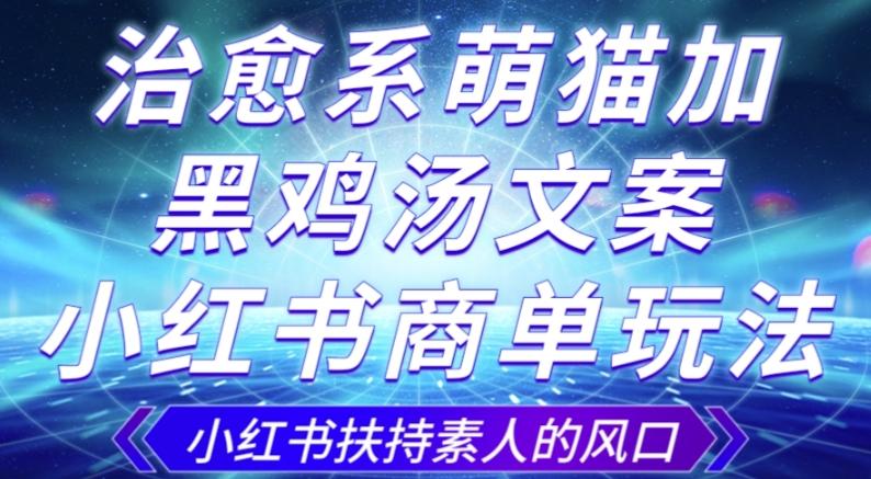 治愈系萌猫加+黑鸡汤文案，小红书商单玩法，3~10天涨到1000粉，一单200左右-89网创