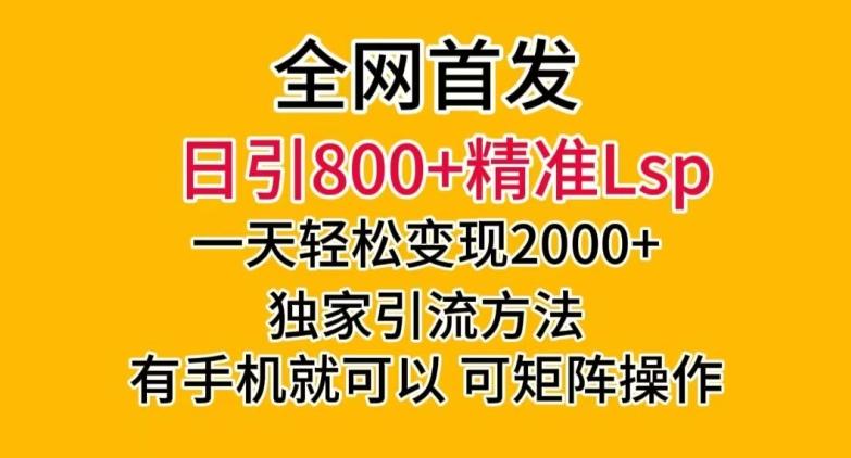 全网首发！日引800+精准老色批，一天变现2000+，独家引流方法，可矩阵操作【揭秘】-89网创