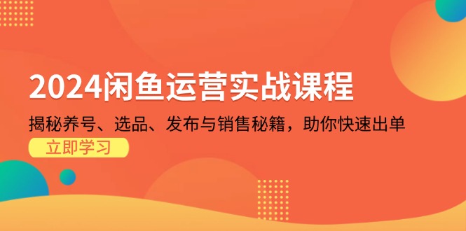 2024闲鱼运营实战课程：揭秘养号、选品、发布与销售秘籍，助你快速出单-89网创