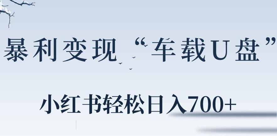 小红书“车载U盘”暴利引流，日入700+-89网创
