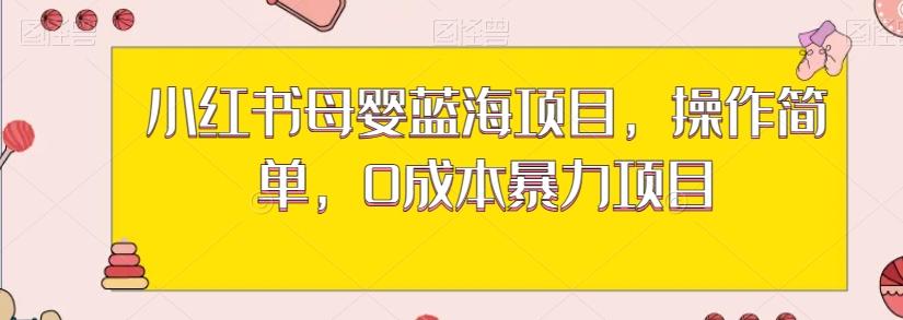 小红书母婴蓝海项目，操作简单，0成本暴力项目-89网创