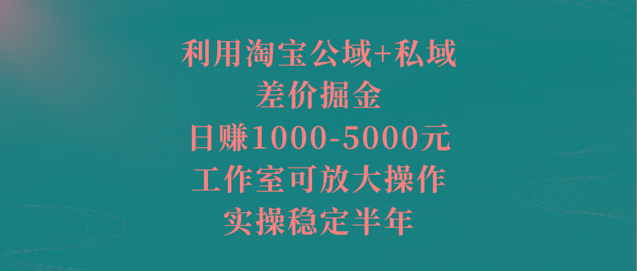 利用淘宝公域+私域差价掘金，日赚1000-5000元，工作室可放大操作，实操…-89网创