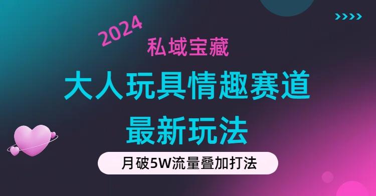 私域宝藏：大人玩具情趣赛道合规新玩法，零投入，私域超高流量成单率高-89网创