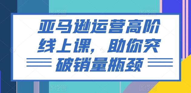 亚马逊运营高阶线上课，助你突破销量瓶颈-89网创