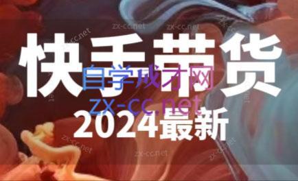 快手带货(2024最新)-89网创
