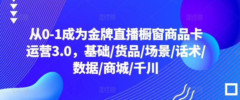 从0-1成为金牌直播橱窗商品卡运营3.0，基础/货品/场景/话术/数据/商城/千川-89网创