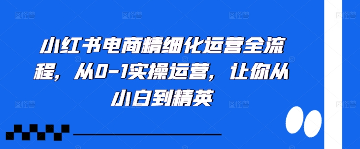 小红书电商精细化运营全流程，从0-1实操运营，让你从小白到精英-89网创