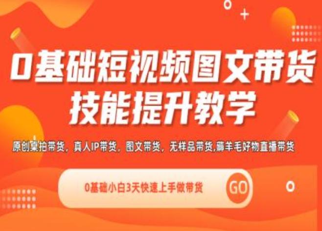 0基础短视频图文带货实操技能提升教学(直播课+视频课),0基础小白3天快速上手做带货-89网创