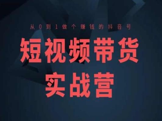 短视频带货实战营(高阶课)，从0到1做个赚钱的抖音号-89网创