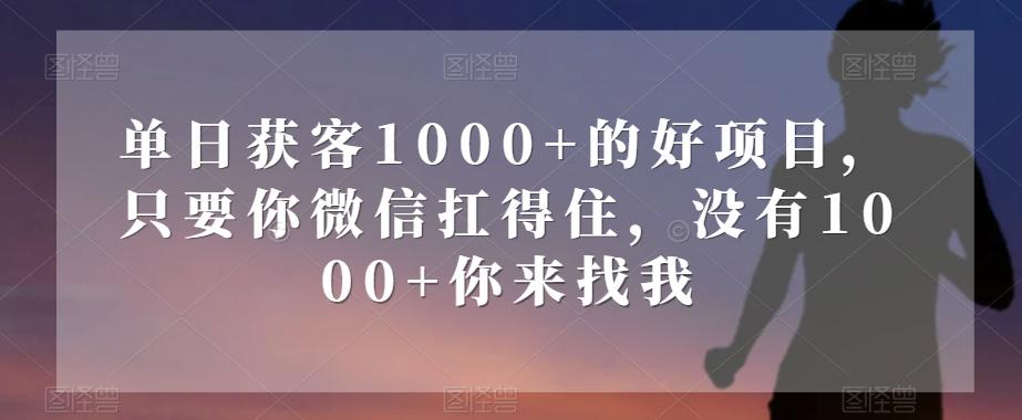 单日获客1000+的好项目，只要你微信扛得住，没有1000+你来找我【揭秘】-89网创