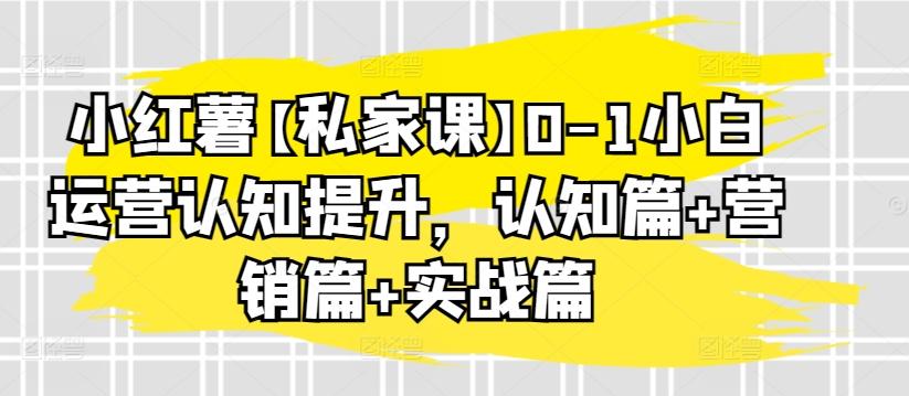 小红薯【私家课】0-1小白运营认知提升，认知篇+营销篇+实战篇-89网创