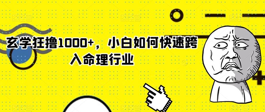 玄学狂撸1000+，小白如何快速跨入命理行业-89网创