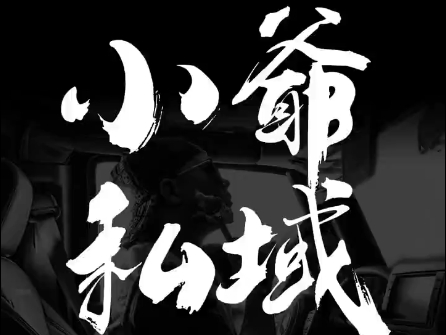 小爷·私域项目操盘手-89网创