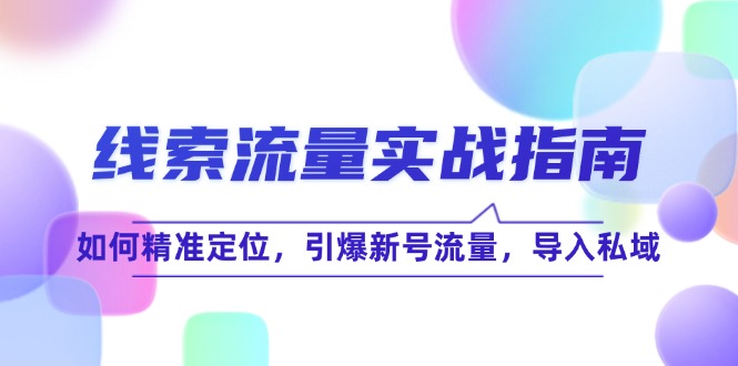 线 索 流 量-实战指南：如何精准定位，引爆新号流量，导入私域-89网创