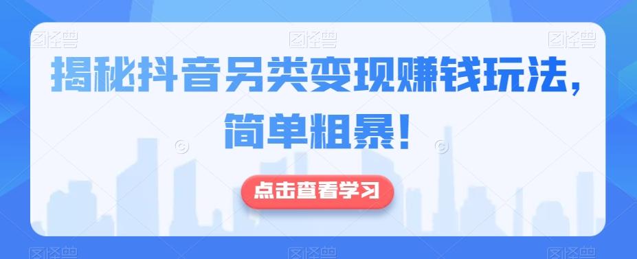 揭秘抖音另类变现赚钱玩法，简单粗暴！-89网创