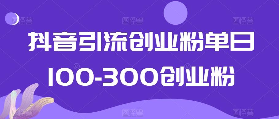 抖音引流创业粉单日100-300创业粉【揭秘】-89网创