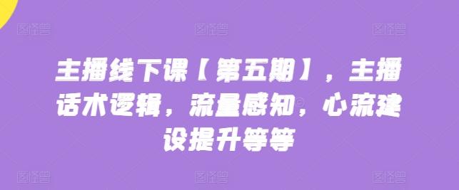 主播线下课【第五期】，主播话术逻辑，流量感知，心流建设提升等等-89网创