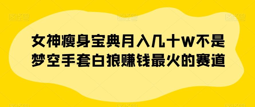 女神瘦身宝典月入几十W不是梦空手套白狼赚钱最火的赛道【揭秘】-89网创