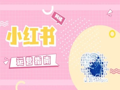 小红书运营指南，没有套路，全是经验-89网创