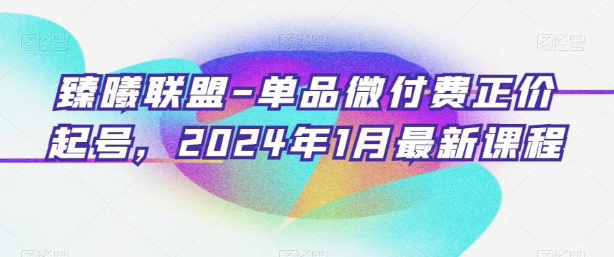 臻曦联盟-单品微付费正价起号，2024年1月最新课程-89网创