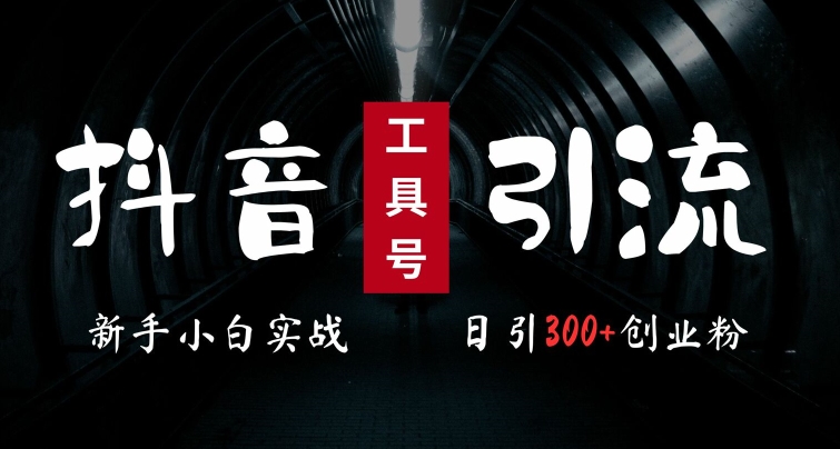 2024最新抖音工具号引流玩法，高效日引300+创业粉，当天变现5k，小白也可成为实战高手-89网创