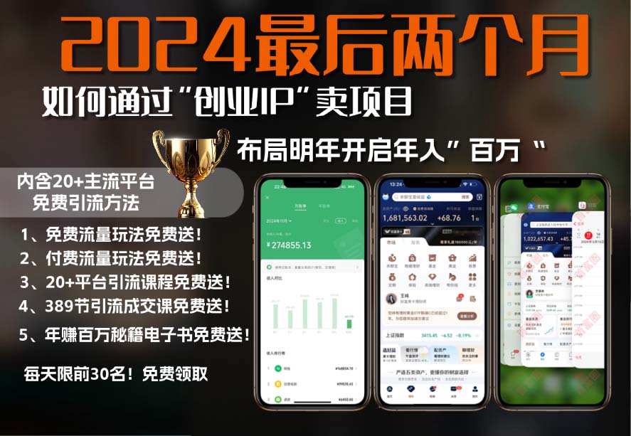 2024最后两个月如何通过”创业IP“卖项目年入”百万“,创业IP+最强引流…-89网创