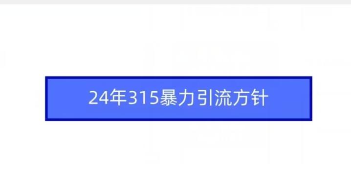 24年315暴力引流方针-89网创