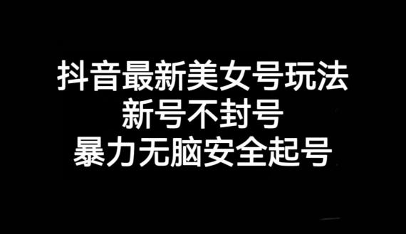 抖音最新美女号玩法，新号不封号，暴力无脑安全起号【揭秘】-89网创