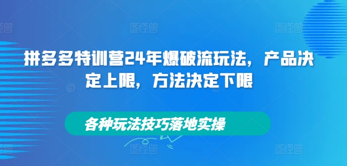 拼多多特训营24年爆破流玩法，产品决定上限，方法决定下限，各种玩法技巧落地实操-89网创