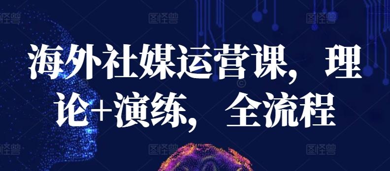 海外社媒运营课，理论+演练，全流程-89网创