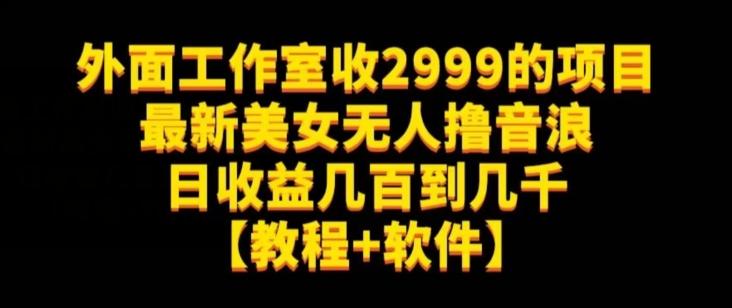 外面工作室收2999的项目最新美女无人撸音浪日收益几百到几千【教程+软件】（仅揭秘）-89网创