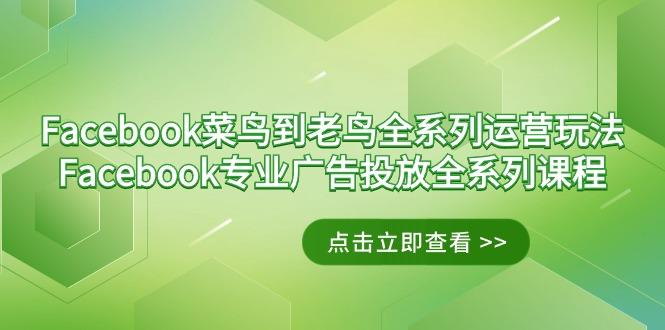 Facebook-菜鸟到老鸟全系列运营玩法+Facebook-专业广告投放全系列课程-89网创