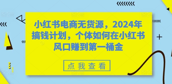 小红书电商无货源，2024年搞钱计划，个体如何在小红书风口赚到第一桶金-89网创