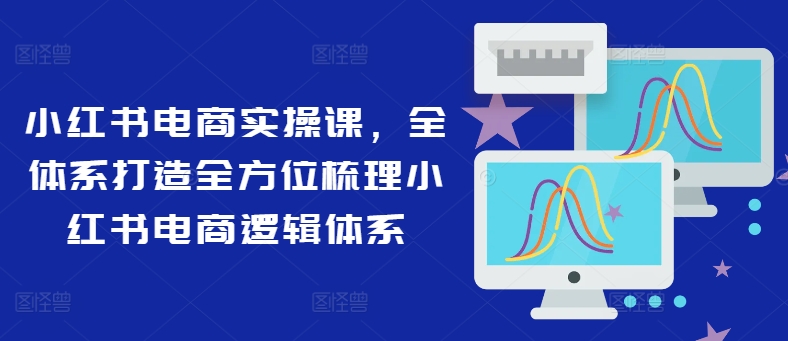 小红书电商实操课，全体系打造全方位梳理小红书电商逻辑体系-89网创