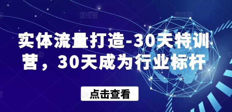 实体流量打造-30天特训营，30天成为行业标杆-89网创