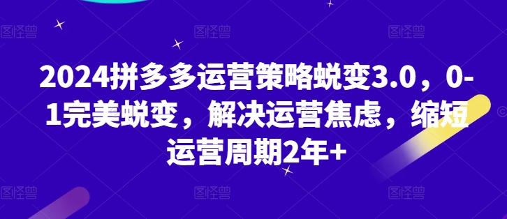 2024拼多多运营策略蜕变3.0，0-1完美蜕变，解决运营焦虑，缩短运营周期2年+-89网创