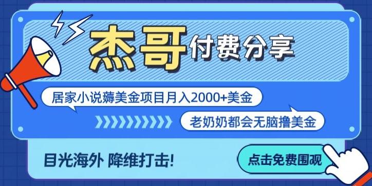 拆解海外撸美金项目月入2000美刀详细指导-89网创