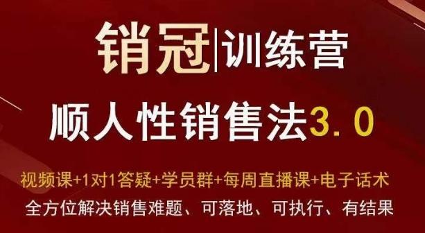 爆款！销冠训练营3.0之顺人性销售法，全方位解决销售难题、可落地、可执行、有结果-89网创