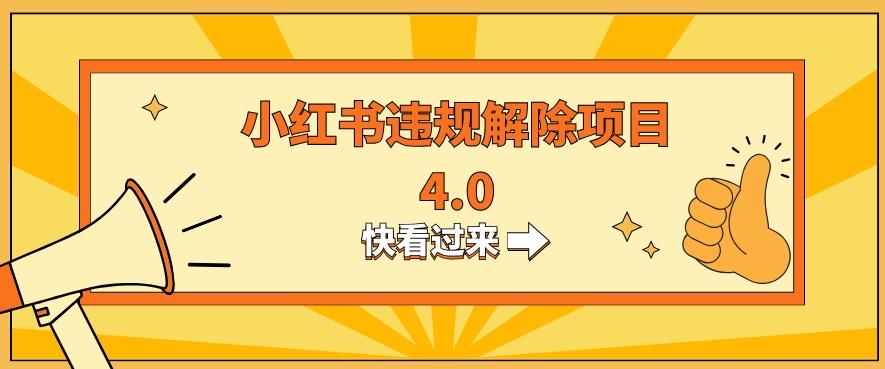 小红书违规掘金蓝海项目，日入800+（附带引流办法及解除办法）-89网创