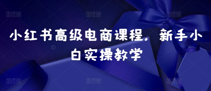 小红书高级电商课程，新手小白实操教学-89网创