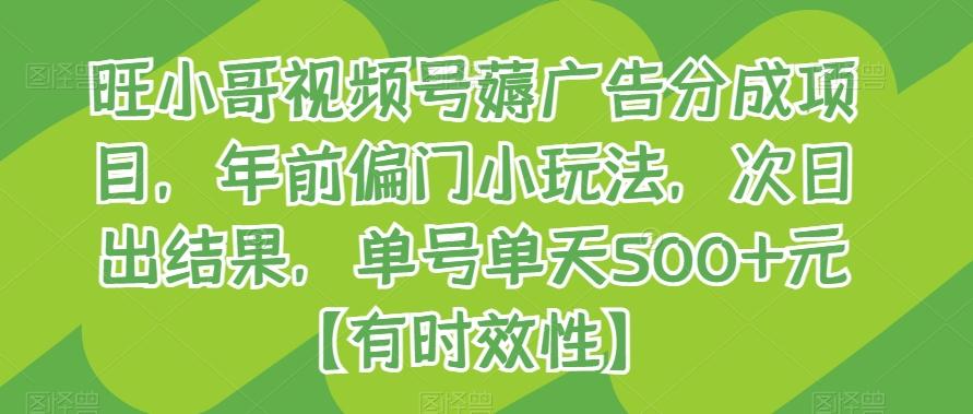 旺小哥视频号薅广告分成项目，年前偏门小玩法，次日出结果，单号单天500+元【有时效性】-89网创