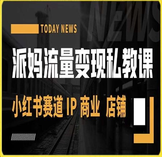 派妈流量变现私教课，小红书赛道IP  商业  店铺 -89网创
