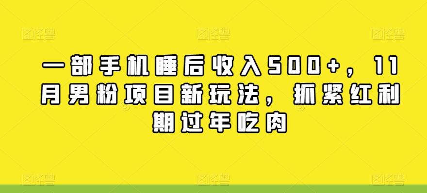 一部手机睡后收入500+，11月男粉项目新玩法，抓紧红利期过年吃肉-89网创