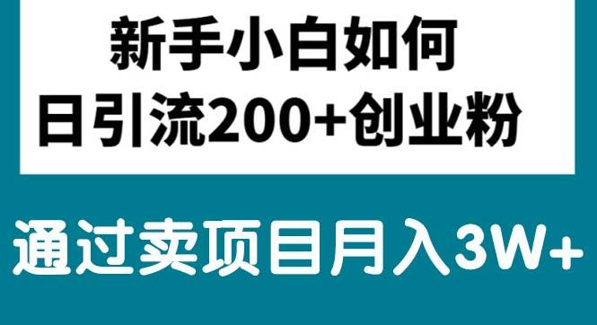 新手小白日引流200+创业粉,通过卖项目月入3W+-89网创