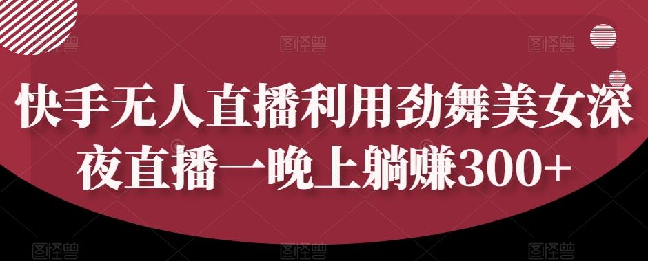 快手无人直播利用劲舞美女深夜直播一晚上躺赚300+-89网创