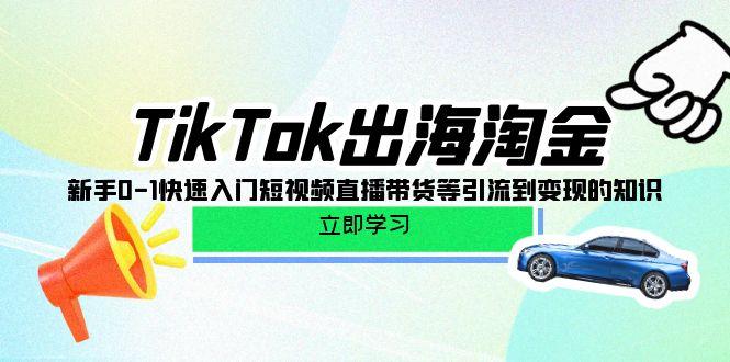 (10035期)TikTok-出海淘金，新手0-1快速入门短视频直播带货等引流到变现的知识-89网创