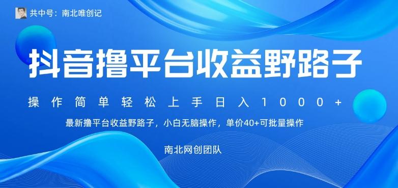最新撸抖音平台收益野路子，操作简单，单价高，小白可无脑操作可日入1000+-89网创