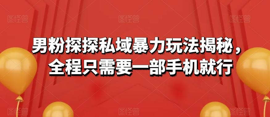 男粉探探私域暴力玩法揭秘，全程只需要一部手机就行-89网创