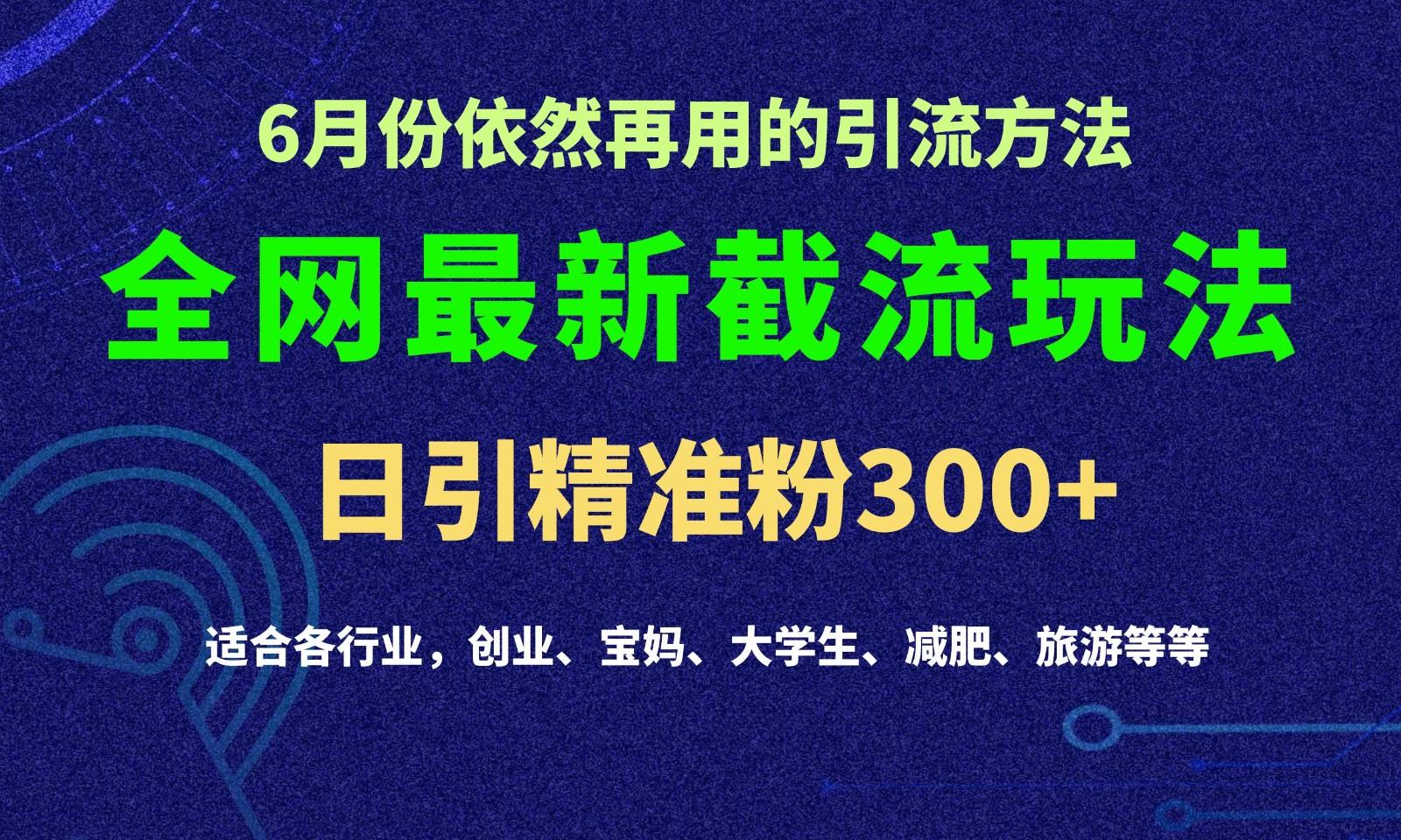 2024全网最新截留玩法，每日引流突破300+-89网创