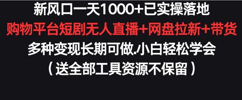 新风口一天1000+已实操落地购物平台短剧无人直播+网盘拉新+带货多种变现长期可做【揭秘】-89网创